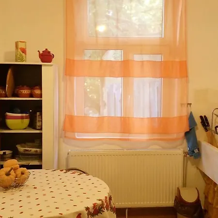Retro & Friendly House : With A Backyard *